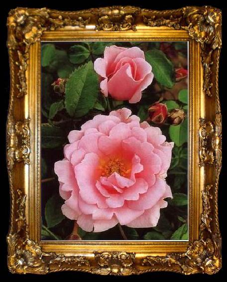 framed  unknow artist Still life floral, all kinds of reality flowers oil painting  106, ta009-2